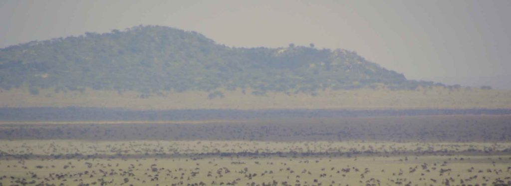 Naabi Hill Serengeti
