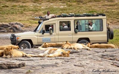Photo Safari Vehicles